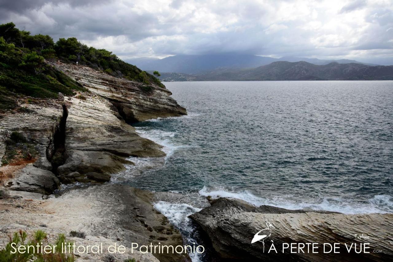 Chambre D'Hotes A 5Mn Des Plages Patrimonio Zewnętrze zdjęcie