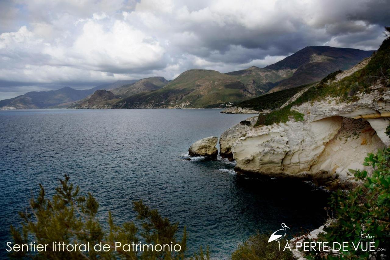 Chambre D'Hotes A 5Mn Des Plages Patrimonio Zewnętrze zdjęcie